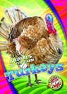 Turkeys - Kari Schuetz - 9781626177277