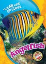 Angelfish - Nathan Sommer - 9781626177642