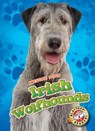 Irish Wolfhounds - Paige V. Polinsky - 9781626177925