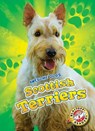 Scottish Terriers - Paige V. Polinsky - 9781626177949