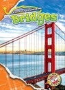 Bridges - Chris Bowman - 9781626178212