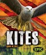 Kites - Nathan Sommer - 9781626178779