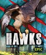 Hawks - Nathan Sommer - 9781626178809