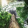 Los arboles: Pulmones de la tierra - Barbara Webb - 9781627172608