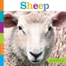 SEEDLINGS SHEEP - Quinn M. Arnold - 9781628323962