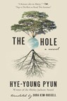 Pyun, H: Hole - Hye-Young Pyun - 9781628729917
