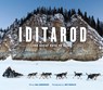 Iditarod: The Great Race to Nome - Bill Sherwonit - 9781632172235