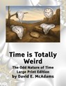 Time is Totally Weird: The Odd Nature of Time - David E. McAdams - 9781632707420