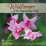 Wildflowers of the Appalachian Trail - Leonard M. Adkins - 9781634040907