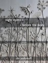 night myths before the body - Abi Pollokoff - 9781636281971