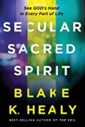 SECULAR SACRED SPIRIT - Blake K. Healy - 9781636411156