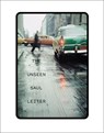 UNSEEN SAUL LEITER - Margit Erb ; Michael Parillo - 9781636810683