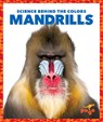 Mandrills - Alicia Z. Klepeis - 9781636903804