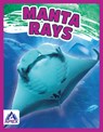 Manta Rays - Angela Lim - 9781637380062