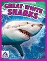 Giants of the Sea: Great White Sharks - Angela Lim - 9781637380406