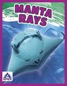 Manta Rays - Angela Lim - 9781637380420