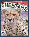 Cheetahs - Sophie Geister-Jones - 9781637380642