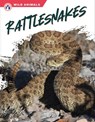 Rattlesnakes - Libby Wilson - 9781637384435