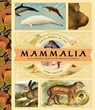 Mammalia - Lindy Mattice - 9781638191285