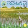 Freshwater Biome - Kerri Mazzarella - 9781638975816