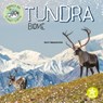 Tundra Biome - Kerri Mazzarella - 9781638975847