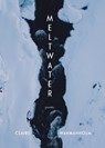 Meltwater - Claire Wahmanholm - 9781639551019