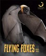 Flying Foxes - Quinn M. Arnold - 9781640261181