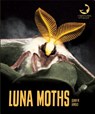 Luna Moths - Quinn M. Arnold - 9781640261198