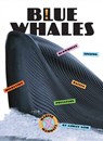Blue Whales - Ashley Gish - 9781640261884