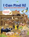 I Can Find It! Noah's Ark and Other Bible Stories (Large Padded Board Book) - Little Grasshopper Books - 9781640309593
