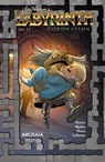 Jim Henson's Labyrinth: Coronation #11 - Jim Henson ; Simon Spurrier ; Ryan Ferrier - 9781641445290