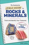 My Awesome Field Guide to Rocks & Minerals - Gary Lewis - 9781641528733