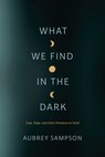 What We Find in the Dark - Aubrey Sampson - 9781641583121