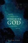 Mourning God - Tiffany Stein - 9781641589833