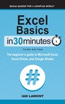Excel Basics In 30 Minutes - Ian Lamont - 9781641880404