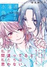 Transparent Light Blue - Kiyoko Iwami - 9781642750416