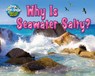 Why Is Seawater Salty? - Ellen Lawrence - 9781642807387