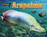 ARAPAIMA - Ellen Lawrence - 9781642807424