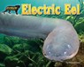 Electric Eel - Ellen Lawrence - 9781642807462