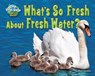 What's So Fresh about Fresh Water? - LAWRENCE,  Ellen - 9781642807745