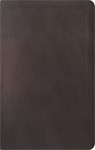 La Biblia de Estudio de la Reforma, Edición Condensada, Dark Brown - R. C. Sproul - 9781642896770
