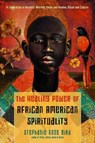 The Healing Power of African-American Spirituality - Stephanie Rose Bird - 9781642970289