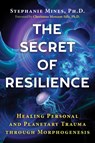 The Secret of Resilience - Stephanie Mines - 9781644116081
