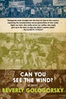 Can You See the Wind? - Beverly Gologorsky - 9781644211113