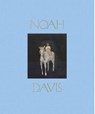 Noah Davis - Noah Davis ; Helen Molesworth - 9781644230374