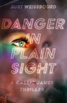 Danger in Plain Sight - Burt Weissbourd - 9781644284827
