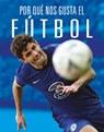 Por Qué Nos Gusta El Fútbol - Aidan Whitcomb - 9781644669938