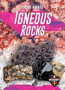 Igneous Rocks - Jenny Fretland VanVoorst - 9781644870754