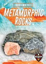 Metamorphic Rocks - Jenny Fretland VanVoorst - 9781644870761
