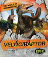 Velociraptor - Rebecca Sabelko - 9781644870914